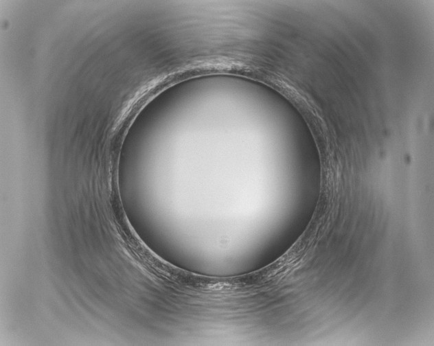 X0000056340064200508260901