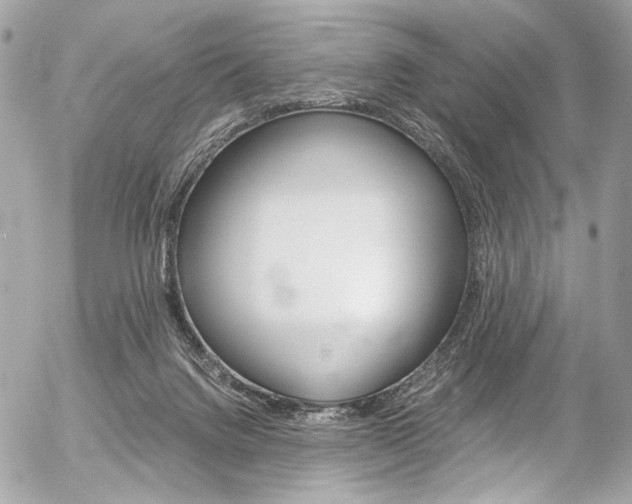 X0000056340072200508260901