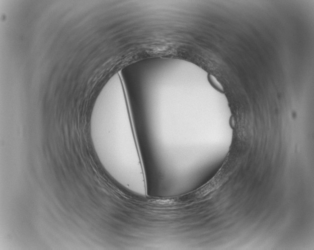 X0000056340085200508260901