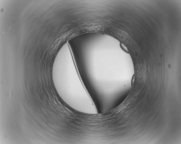 X0000056340089200508260902