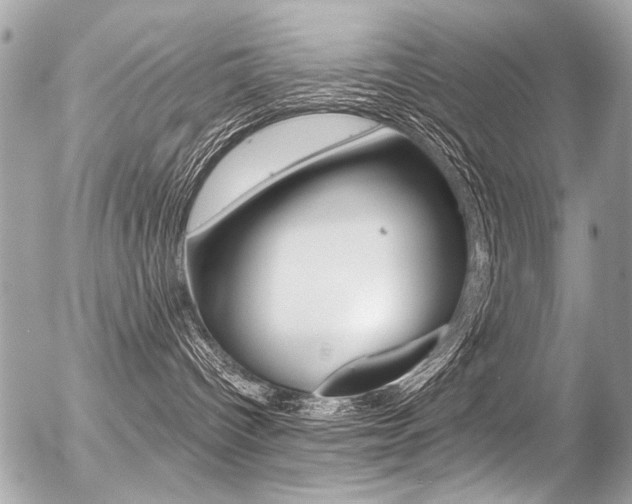 X0000056340096200508260902