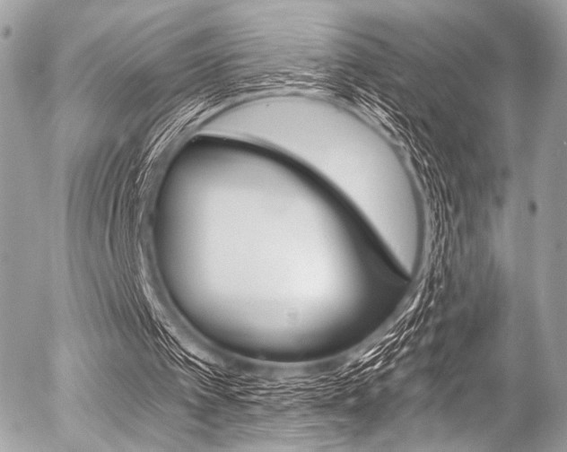 X0000056340097200508260901
