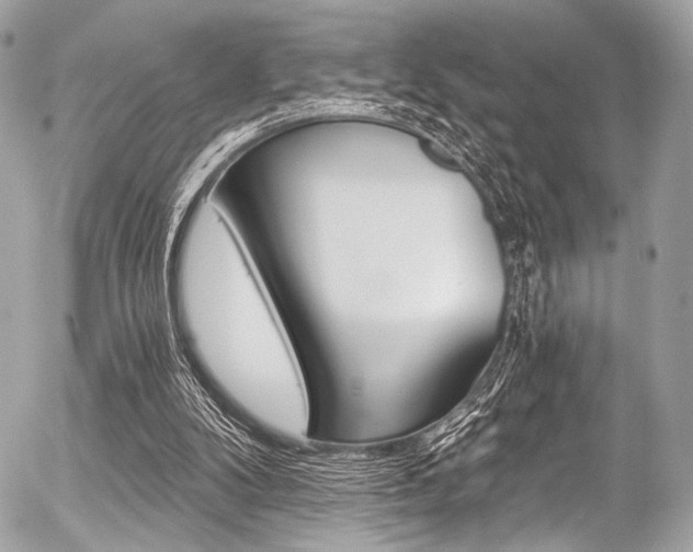 X0000056340104200508260901
