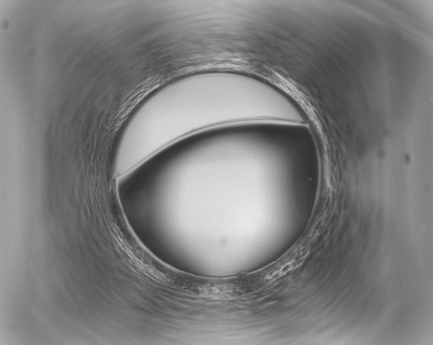 X0000056340105200508260901