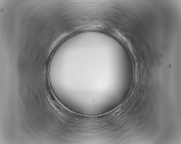 X0000056340107200508260901