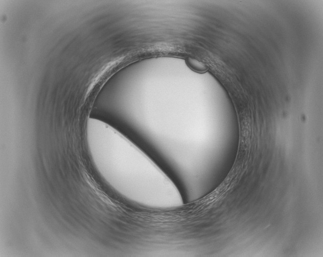 X0000056340112200508260901