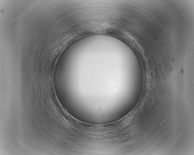 X0000056340113200508260901
