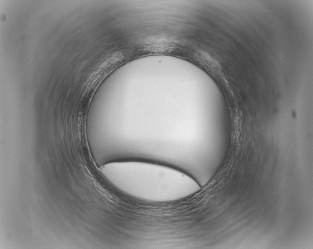 X0000056340114200508260901