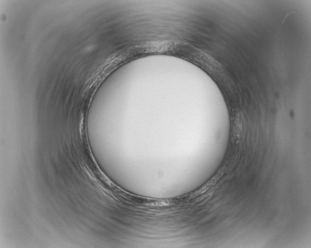 X0000056340118200508260901