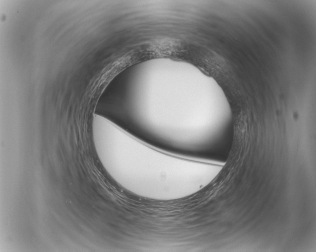 X0000056340139200508260900