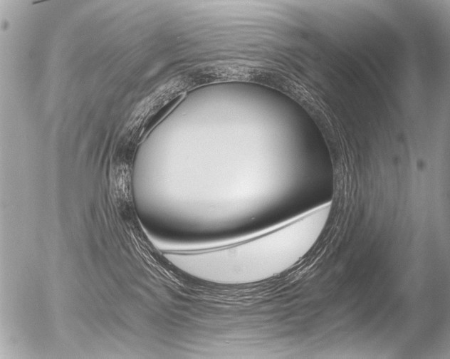 X0000056340141200508260900