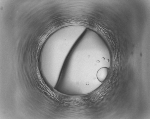 X0000056340145200508260859
