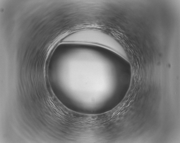 X0000056340148200508260859