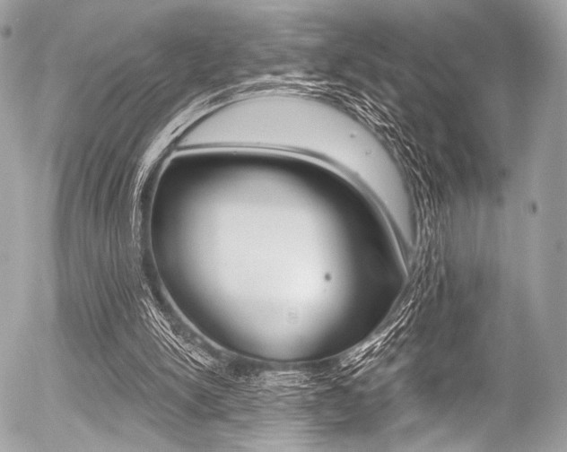 X0000056340150200508260859