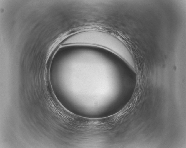 X0000056340152200508260859