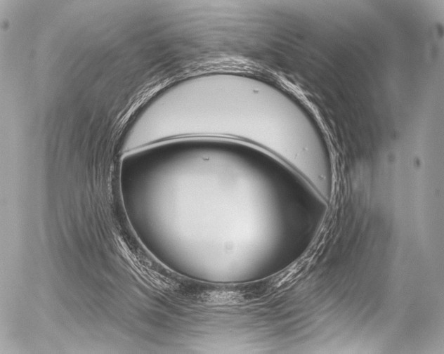 X0000056340154200508260859