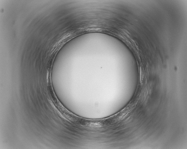 X0000056340157200508260859