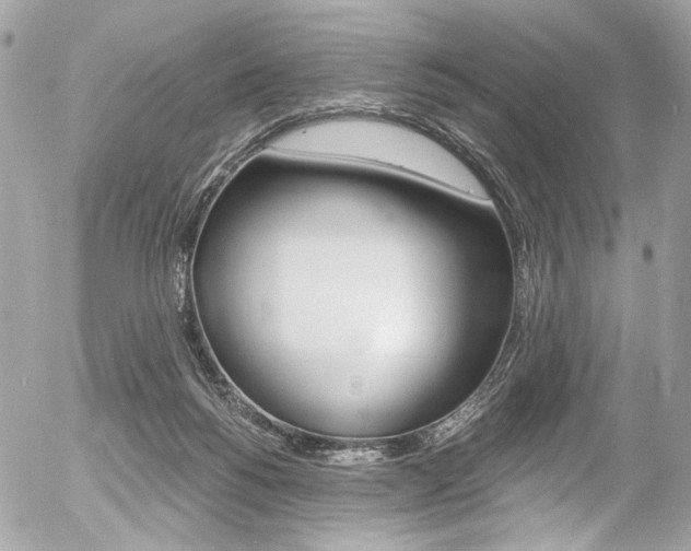 X0000056340168200508260900