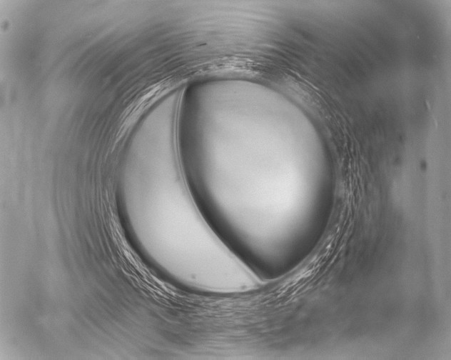 X0000056340193200508260859