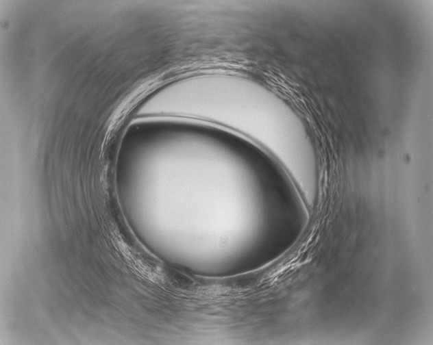 X0000056340197200508260859