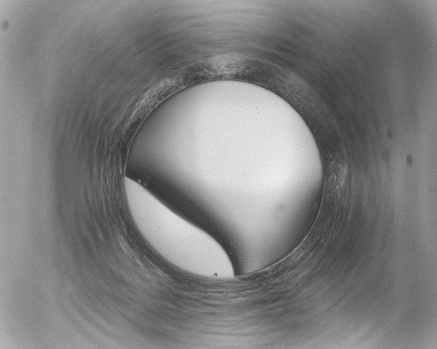 X0000056340220200508260859