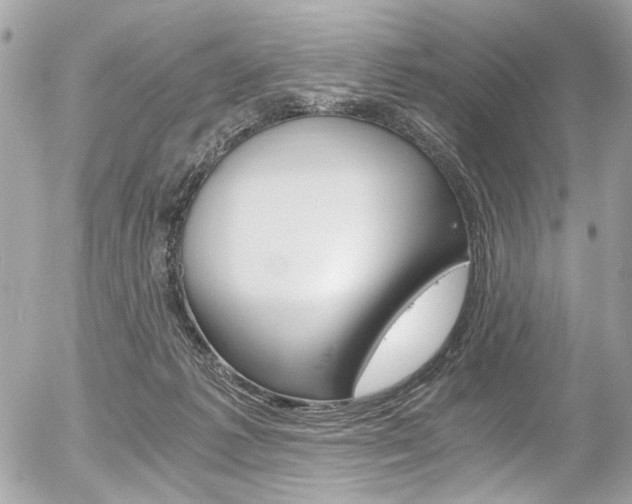 X0000056340221200508260859