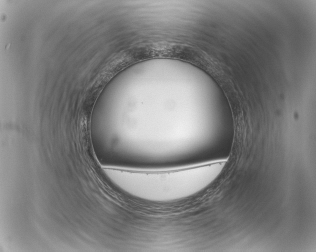 X0000056340225200508260859