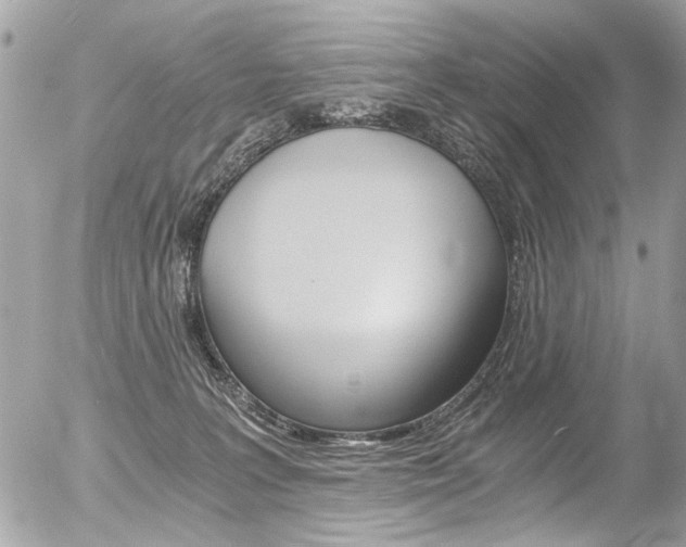 X0000056340227200508260859