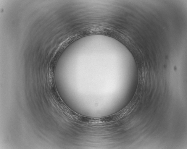 X0000056340228200508260859