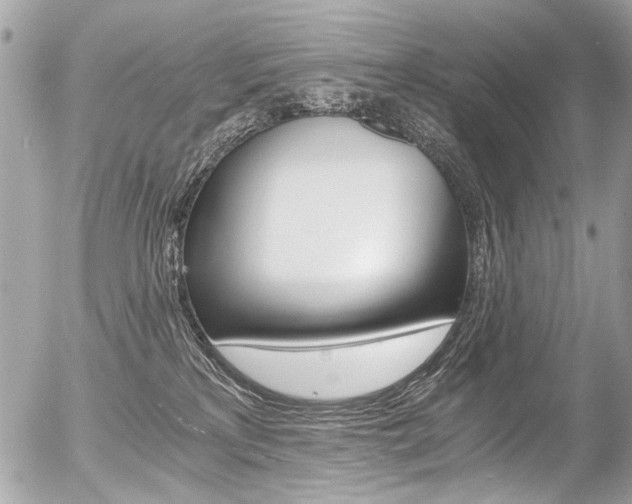 X0000056340233200508260859