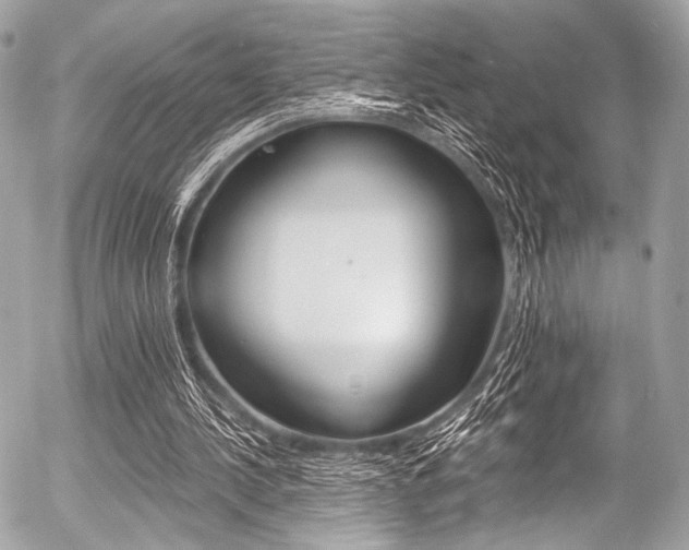 X0000056340244200508260858
