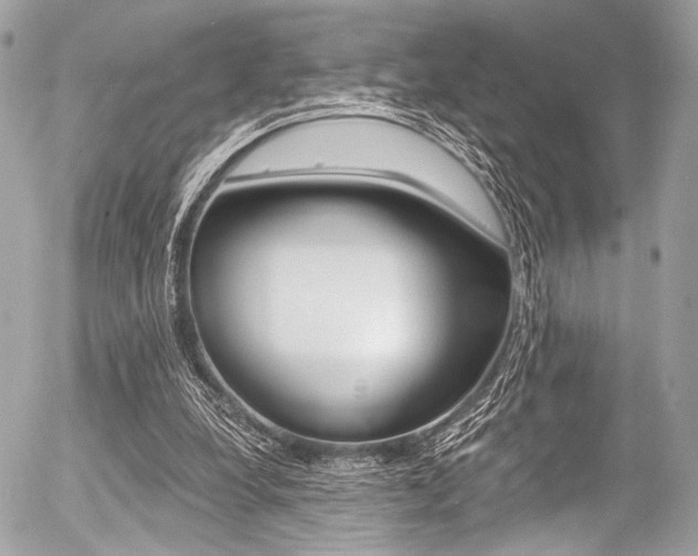 X0000056340248200508260858