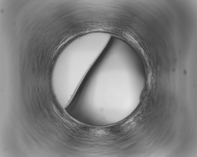 X0000056340249200508260858