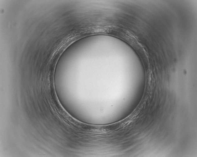 X0000056340250200508260858