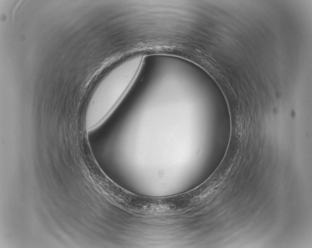 X0000056340256200508260858