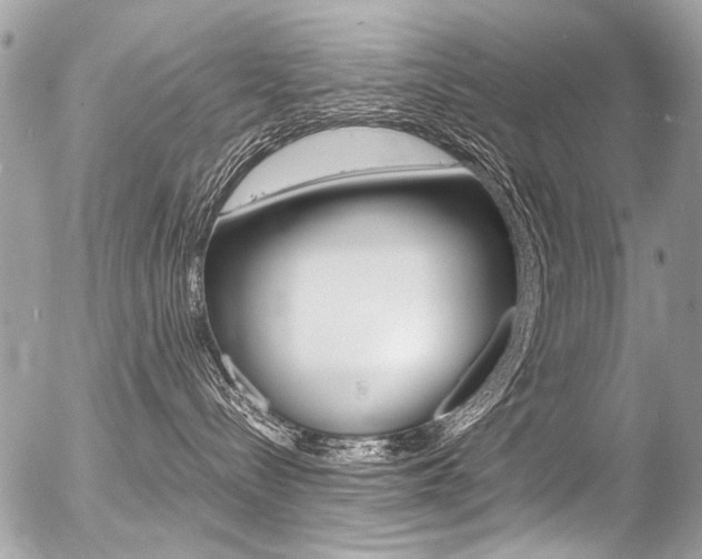 X0000056340288200508260859