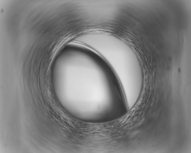 X0000056340289200508260858
