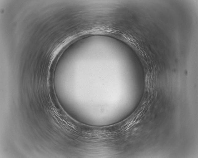 X0000056340292200508260858