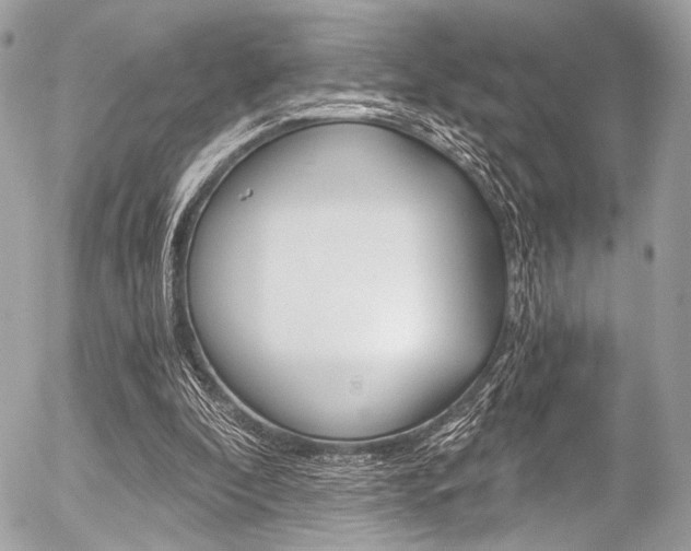 X0000056340296200508260858