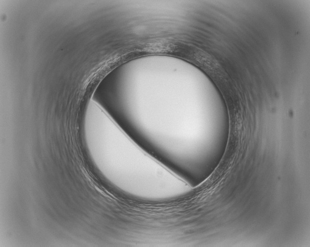 X0000056340303200508260858