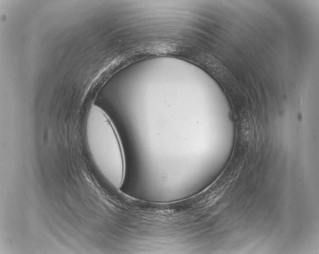 X0000056340304200508260857