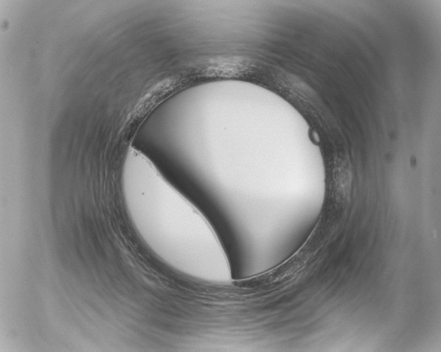 X0000056340312200508260857