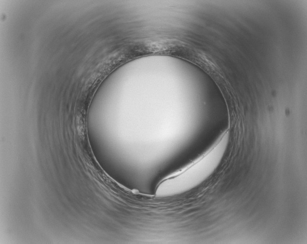 X0000056340317200508260857