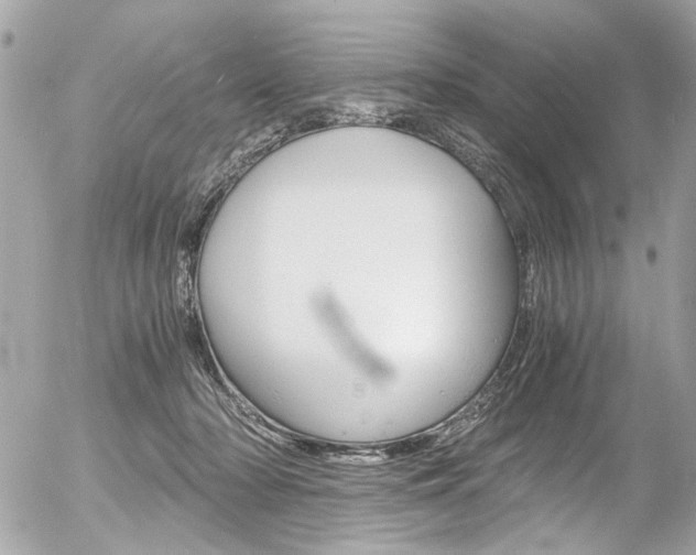 X0000056340318200508260857