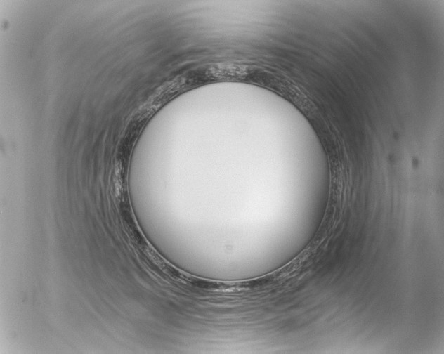 X0000056340323200508260857