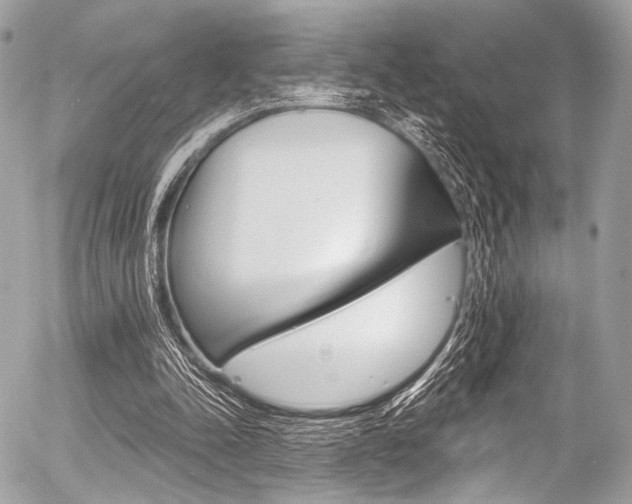 X0000056340342200508260856