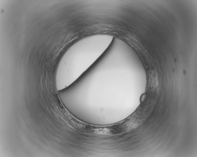 X0000056340363200508260857