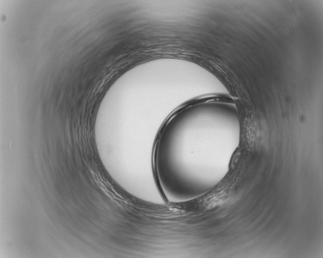 X0000056340380200508260857