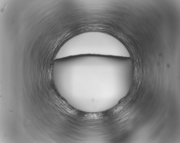 X0000056340381200508260857