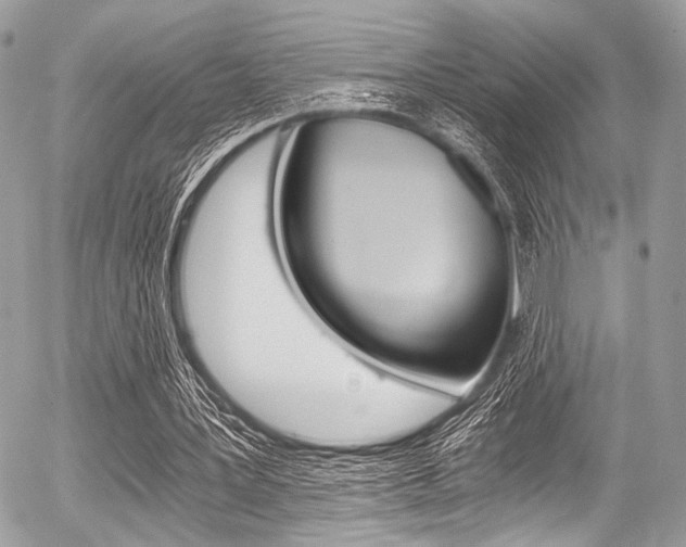 X0000056340387200508260856